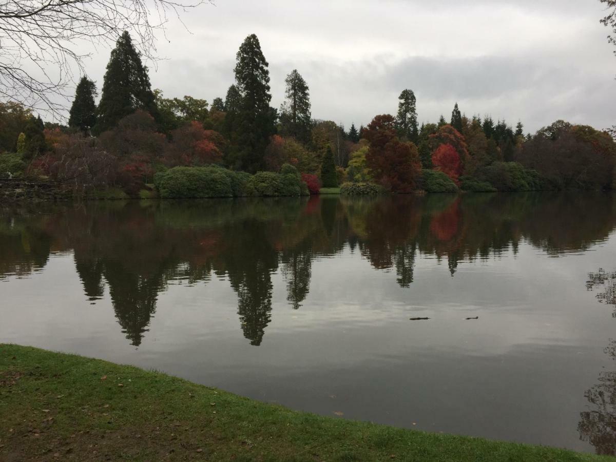 Silvergrove In E Sussex Апартаменты