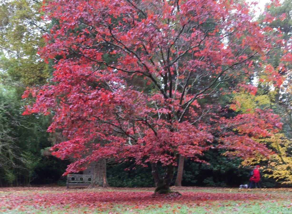 Апартаменты Silvergrove In E Sussex *